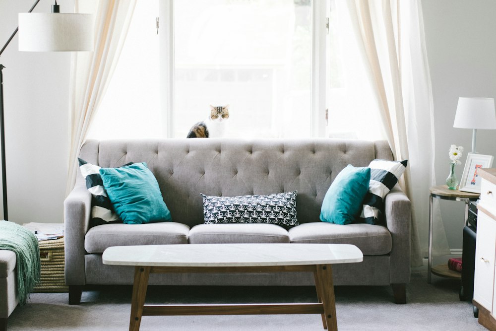 Rachel's favorite reading chair with knit blanket
