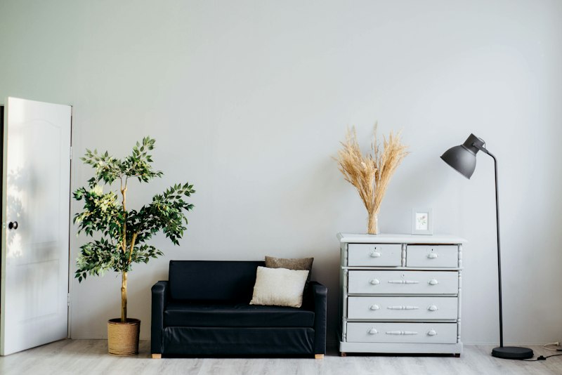 Living room with soft sofa and plants